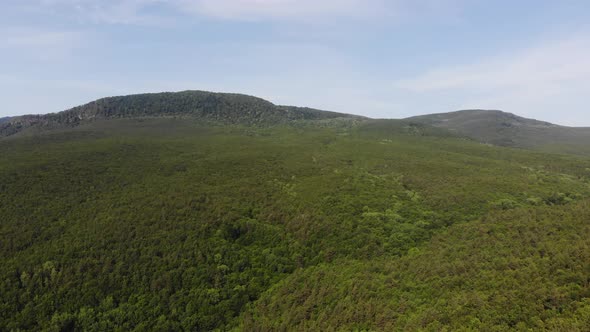 Flying over the forest and Caucasus mountains. alt