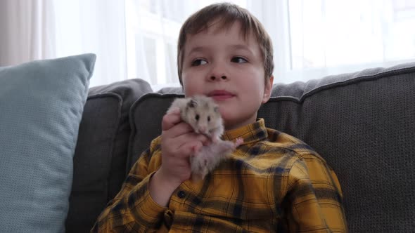 Little Boy Holding a Cute Fluffy Hamster