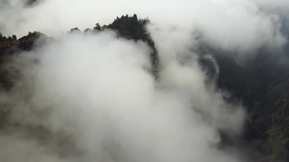 Aerial drone view of the deep forest from above with passing clouds.