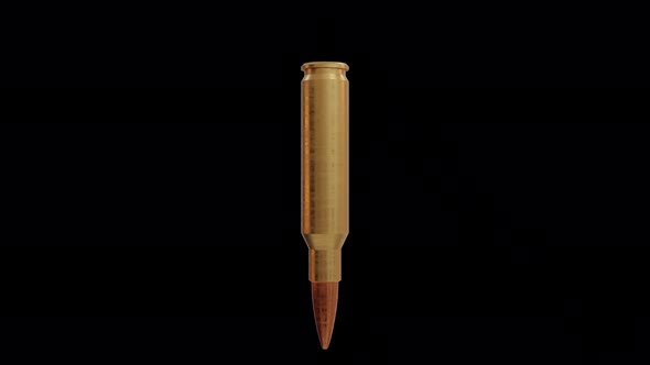 Bullet Turntable Loop alt