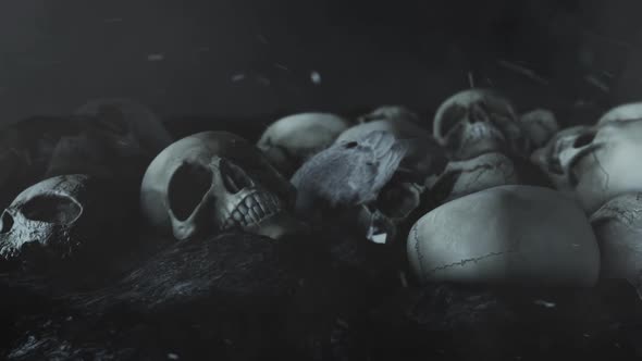 Black Raven And Human Skulls In A Field alt