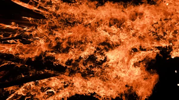 Vertical Video Bonfire Burns at Night on a Black Background on Nature alt