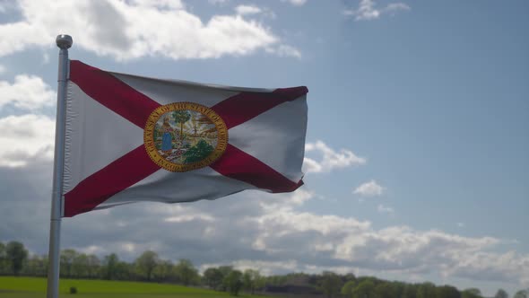 Florida Flag on a Flagpole Waving in the Wind in the Sky alt