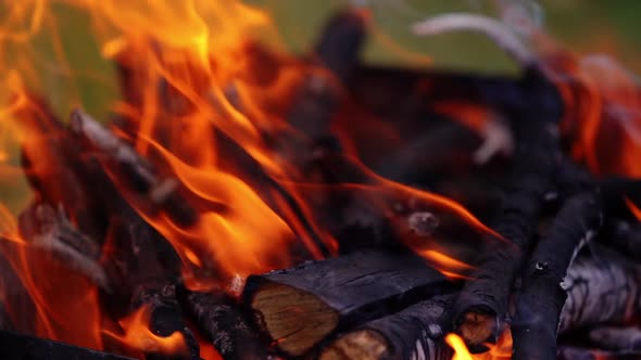 Fire flame in burning wood alt