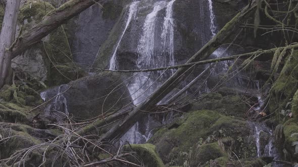 Waterfall in the Canadian Rain Forest alt