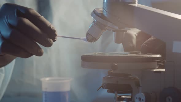 A Researcher in a Laboratory in Protective Rubber Gloves Applies a Blue Liquid to a Microscope Slide alt