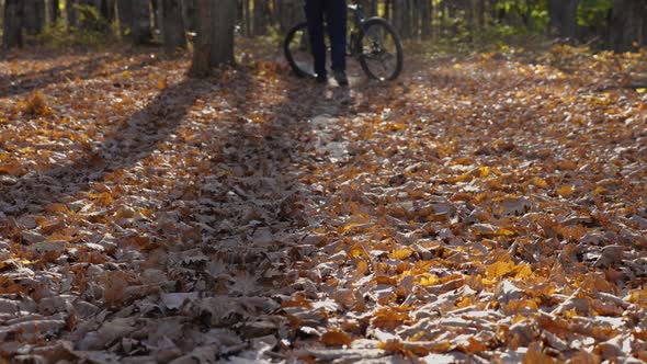 A man walks along a forest path in an autumn forest to a tree where a mountain bike stands alt