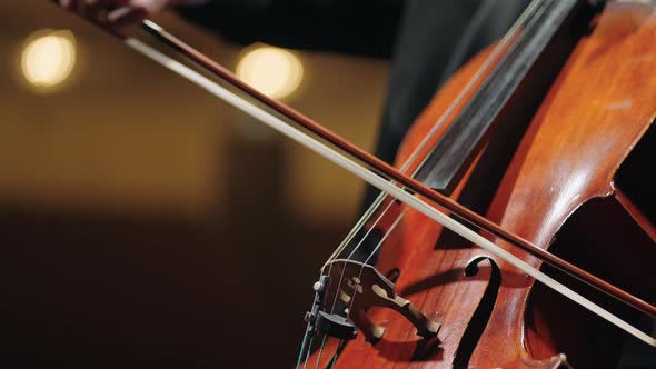 Cellist is Playing Cello Closeup View of Bow and Strings Classic Music Concert or Rehearsal alt