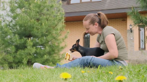 woman feeds dog on green lawn alt