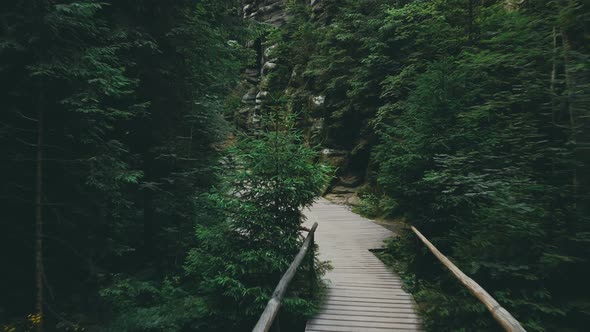 Adršpach-Teplice Rocks national park filmed from drone. Green forest with rocks like background