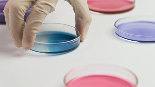 Moving Over Petri Dishes and Chemist Putting Samples for Microchemical Analysis.  alt