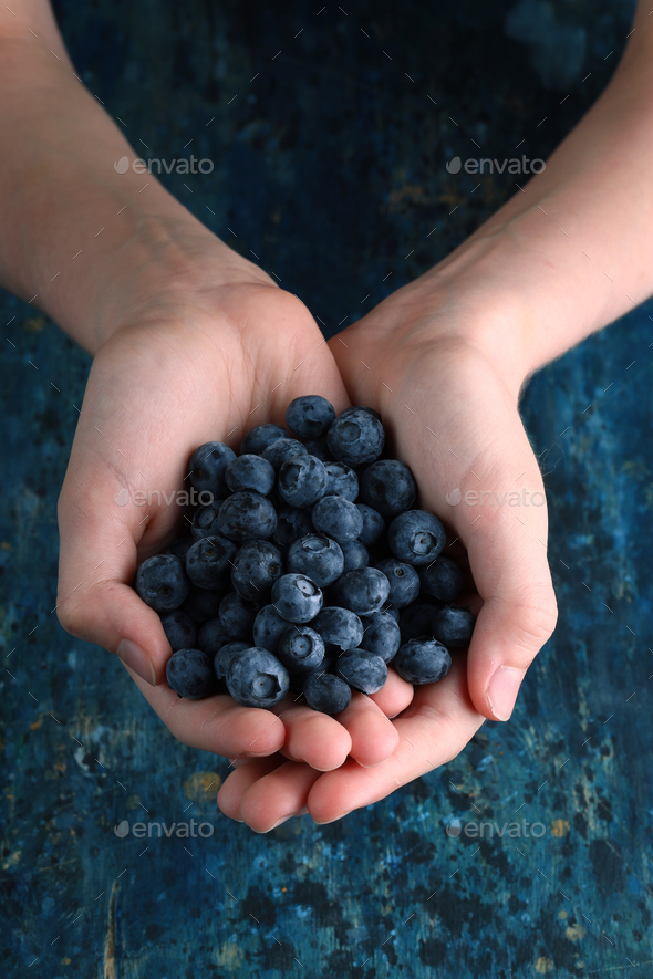 Fruit Blueberries - Stock Photo - Images
