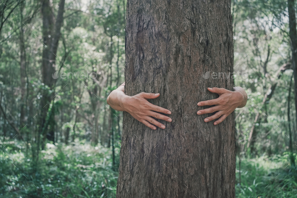 Hands hugging tree, embracing nature, sustainable living, eco environment protection concept