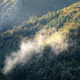 Wisp of fog floats through a rocky gorge with native forests - PhotoDune Item for Sale