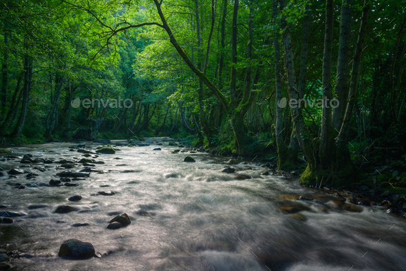 Mystical atmosphere when the first light of day illuminates the river and the surrounding forests - Stock Photo - Images