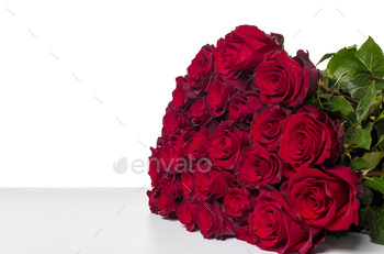 Red roses on a white background.
