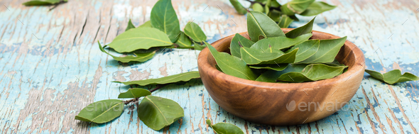 Fresh leaves of bay leaves in a bowl and next to it on a wooden rustic table. Web banner. Copy space