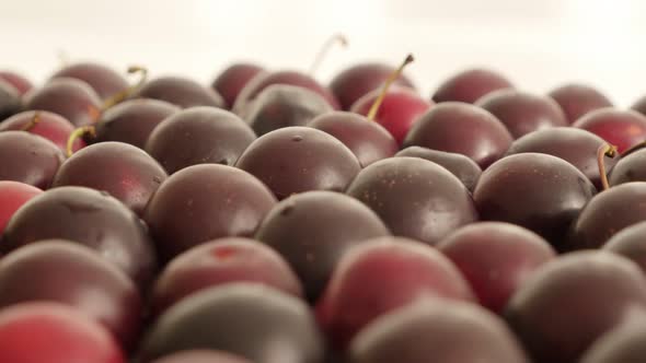 Tasty cherry plum slow tilt 4K 2160p 30fps UltraHD footage - Prunus cerasifera red fruit close-up 38 alt