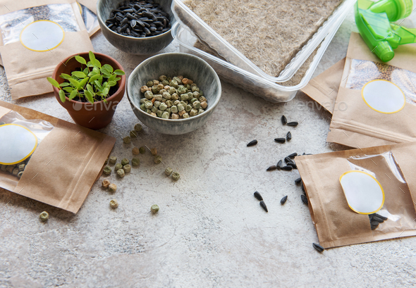 Microgreen seeds in paper bags and equipment for sowing