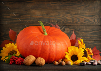 Festive Thanksgiving day decorations background with copy space
