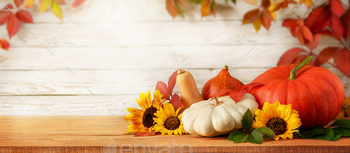 Autumn background of different pumpkins, sunflowers and leves on white wooden background. Copy space
