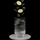Lemon slices, ice cubs and mint leaves falling into glass with drink on black background - PhotoDune Item for Sale