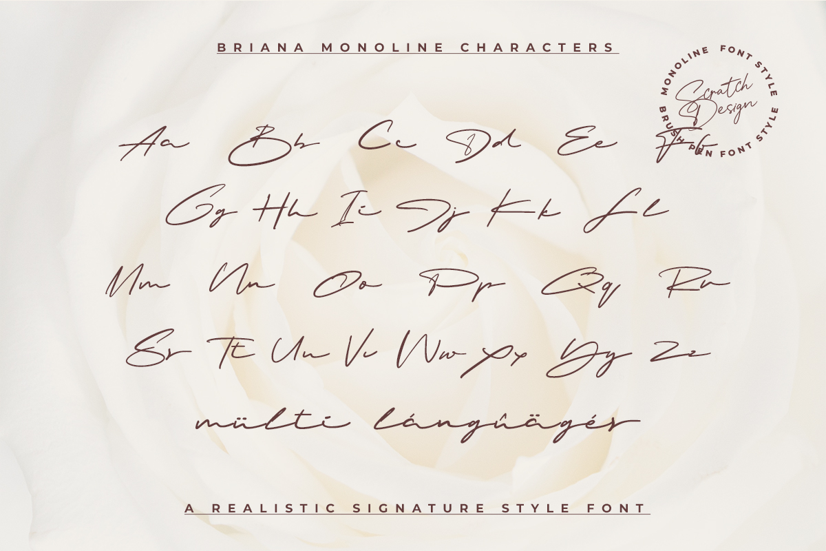 Briana Realistic Signature, Fonts | GraphicRiver