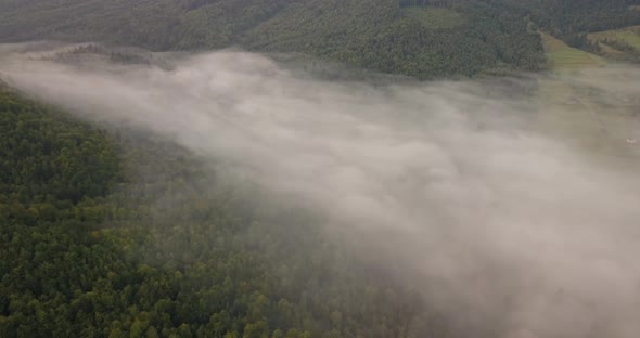 Aerial View To the Foggy Morning Carpathian Forest in Ukraine