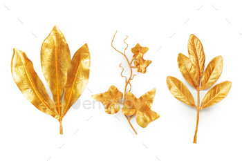 golden leaf design elements.