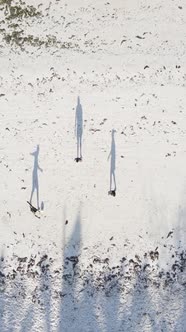 Tanzania  Vertical Video People Play Football on the Beach in Zanzibar Slow Motion alt