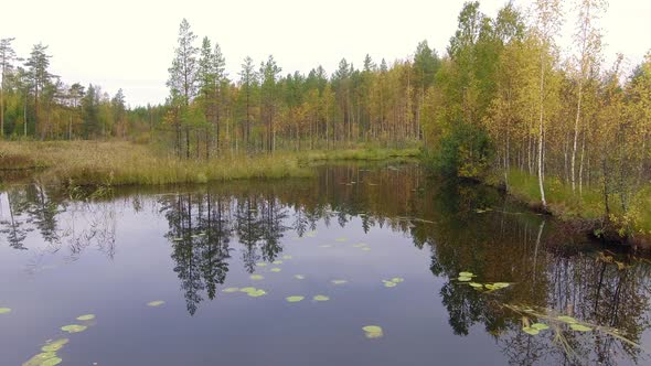 Drone shot of a remote swamp lake in the boreal wilderness. alt