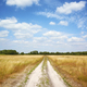 Dirt road cutting through a meadow on a sunny day with blue sky. - PhotoDune Item for Sale