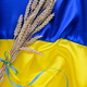 Fabric wave flag of Ukraine with wheat spikes - PhotoDune Item for Sale