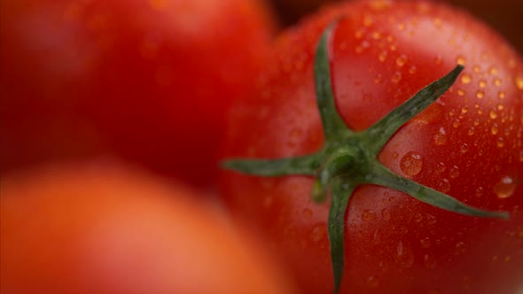Red Tomatoes with water drops