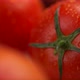 Red Tomatoes with water drops - VideoHive Item for Sale
