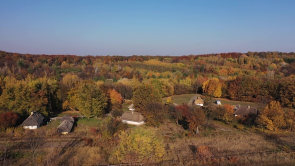 Aerial view of colorful forest on a sunny day in autumn. Mixed colors. alt
