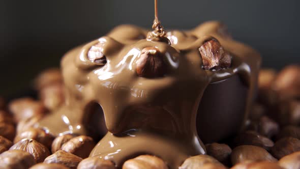 Hazelnuts Covering with Melted Chocolate