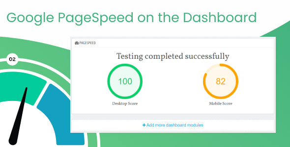 Google PageSpeed On The Dashboard