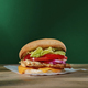 fresh tasty burger - PhotoDune Item for Sale