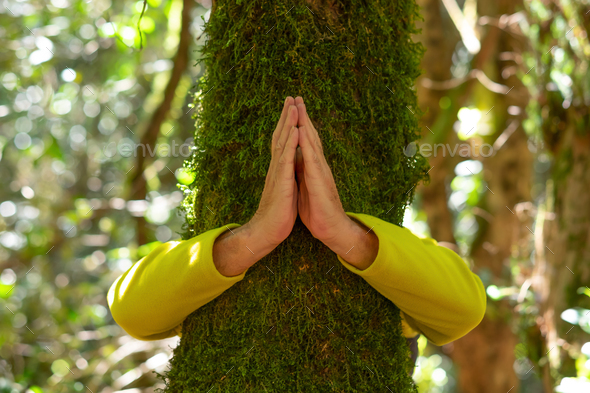 Elderly man hiding hugging a moss covered tree trunk in the woods with praying hands