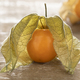 Single fresh Cape gooseberry, physalis, with husk close up - PhotoDune Item for Sale
