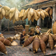 Group of Old Vietnamese female craftsman making the traditional bamboo fish trap - PhotoDune Item for Sale