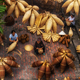 Top view of Group of Old Vietnamese female craftsman making the traditional bamboo fish trap - PhotoDune Item for Sale