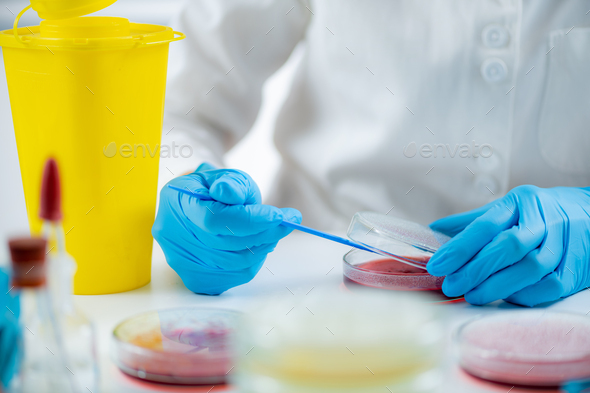 Microbiology laboratory work. Hands of a microbiologist working in a biomedical research laboratory