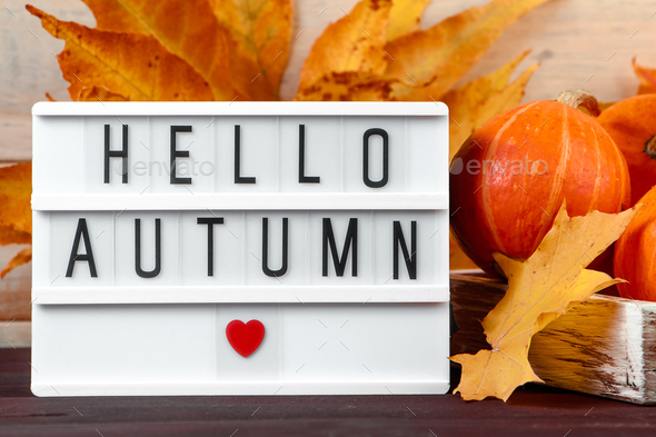 Hello autumn. Ripe pumpkins and yellow leaves in a wooden box.