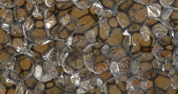 The Texture of the Abrasive Closeup alt