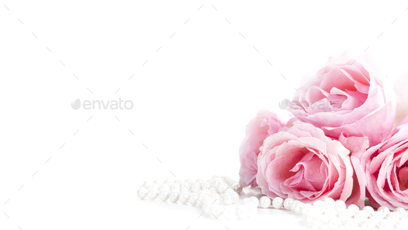 Beautiful pastel pink roses bunch and elegant bridal pearls isolated over white - Stock Photo - Images