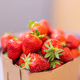 Fresh ripe delicious strawberries in bowl - healthy food and vegetarian - PhotoDune Item for Sale