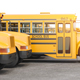 Yellow school buses in a row. - PhotoDune Item for Sale