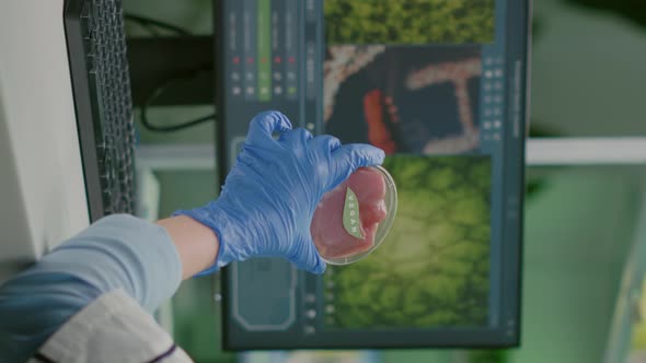 Vertical Video Chemist Woman Analyzing Vegan Beef Meat for Biochemistry Experiment alt
